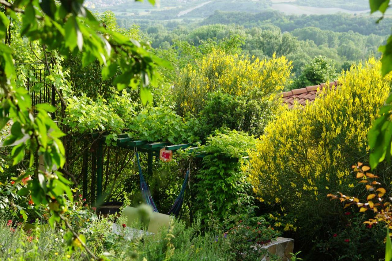 Le Balcon Villa Dallet Exterior foto